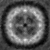 support image for multimodal few-shot prompting