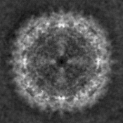 support image for multimodal few-shot prompting