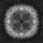 support image for multimodal few-shot prompting