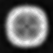 query image for multimodal few-shot prompting